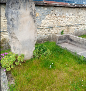 The Gurdjieff Family’s grave overgrown with weeds & grass. After a trip to town to purchase the necessary tools, the Angove family begins tending the grave.